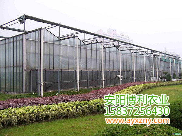 聯(lián)棟大棚1 聯(lián)棟大棚1