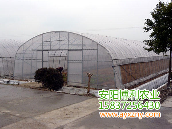 拱棚式蔬菜大棚14 拱棚式蔬菜大棚14