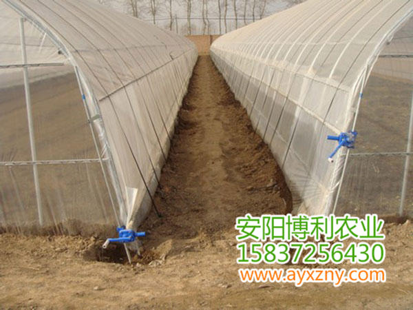 拱棚式蔬菜大棚20 拱棚式蔬菜大棚20