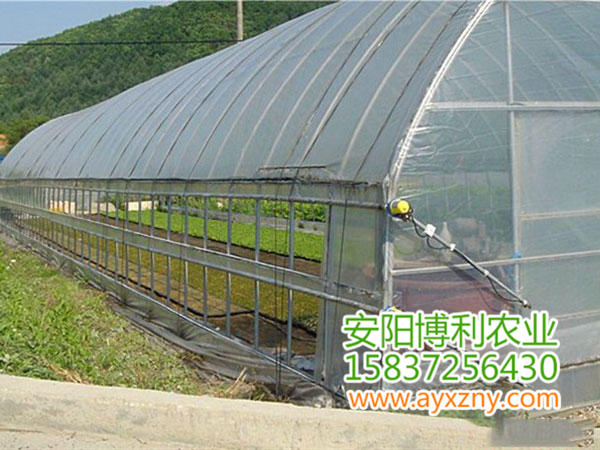 拱型蔬菜大棚21 拱型蔬菜大棚21