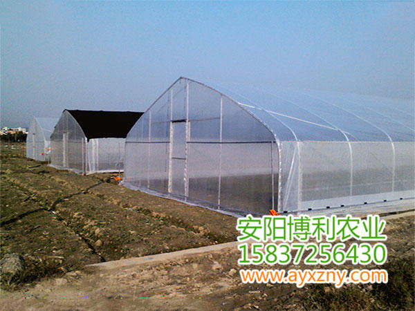 拱型蔬菜大棚23 拱型蔬菜大棚23