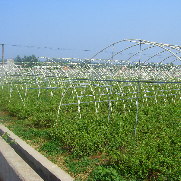 大棚骨架 大棚骨架