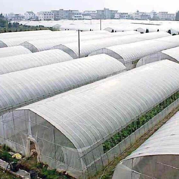 溫室大棚 溫室大棚