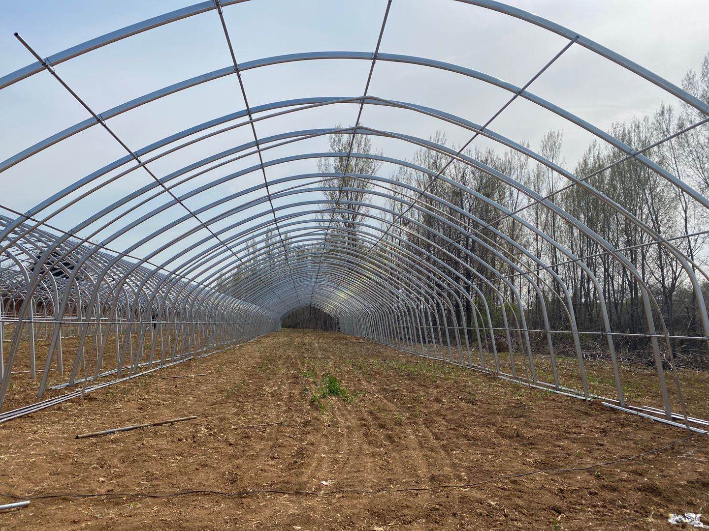 微信圖片_202003281410368.jpg 微信圖片_202003281410368.jpg