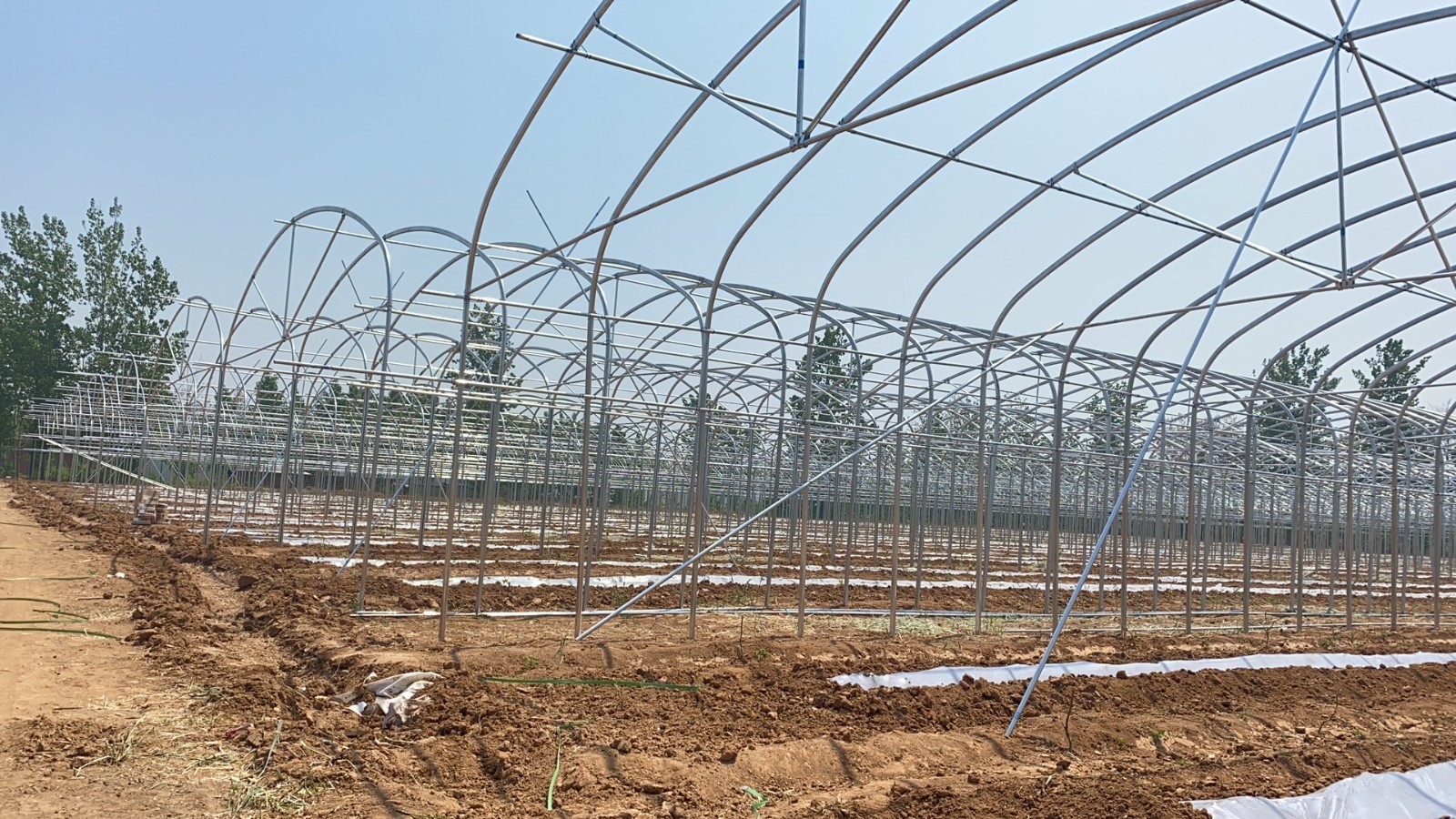 連體大棚骨架.jpg 連體大棚骨架.jpg