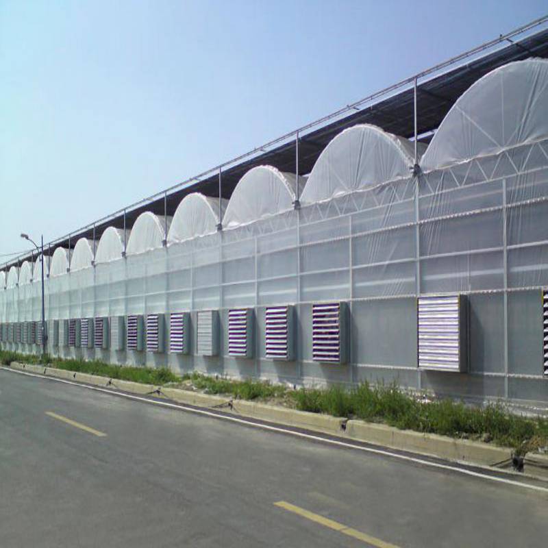 連動薄膜溫室1.jpg 連動薄膜溫室1.jpg